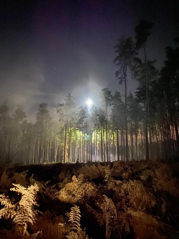 Cd1c8962 0a03 4102 bd77 99d853819251